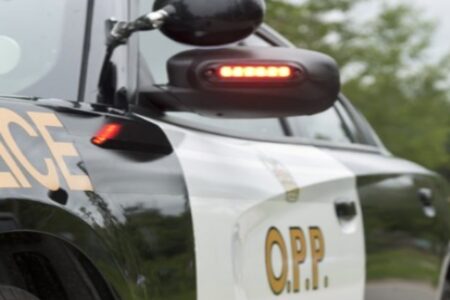 Tragic Accident with Horses Claims Life in Renfrew County