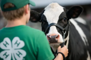 Funding for Youth Programs in Ontario