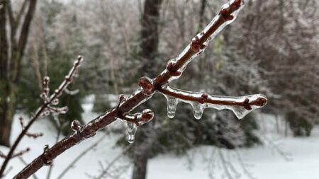 Weather Alert: Freezing Rain Expected in Local Areas