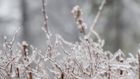 Kingston Braces for Freezing Rain This Weekend