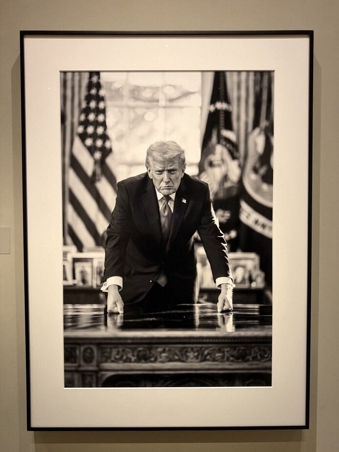 President Donald Trump's new portrait in the National Portrait Gallery