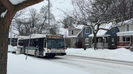 Snowstorm Hits Hamilton, Burlington, and Niagara Hard