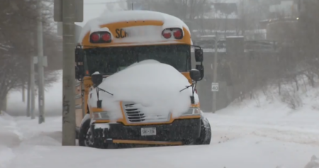 Parents in Kingston Face Child Care Challenges Amid Snow Days