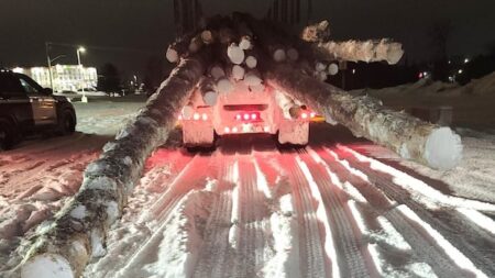 Trucker Faces Charges for Overloaded Logs