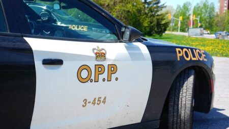 Man Arrested for Vehicle and Boat Theft in Ontario