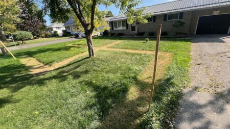 Symbol of Hate Cleared from St. Thomas Lawn