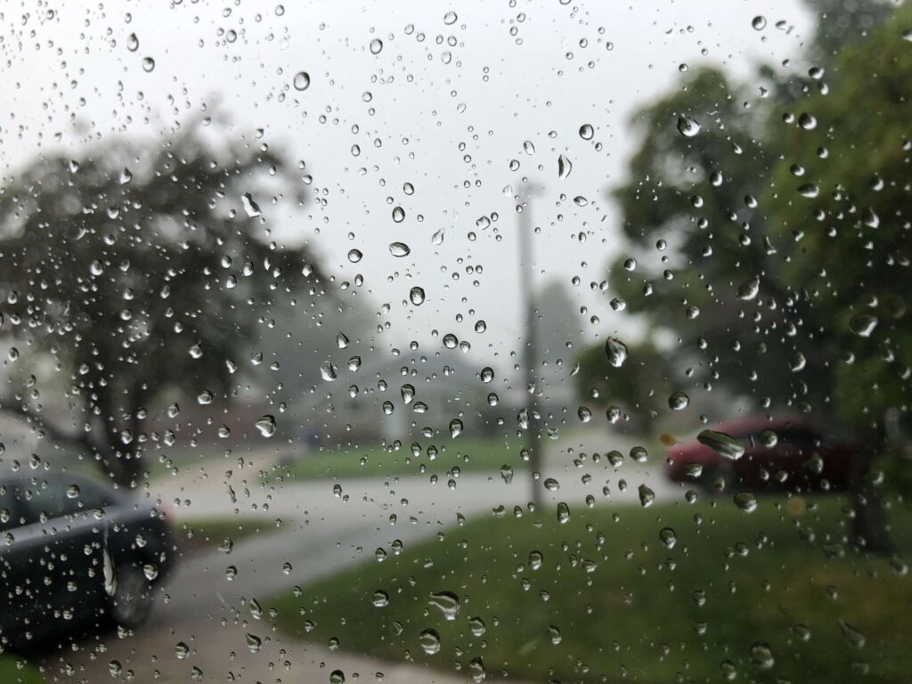 Sarnia Experiences Unusually Wet December