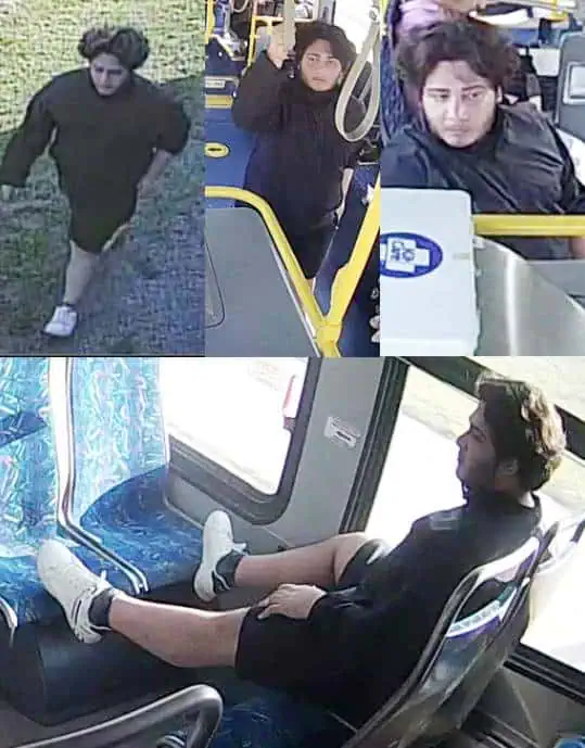 halton oakville home invasion suspect 