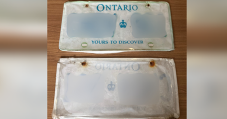 Driver Caught with Fake License Plates in Ontario