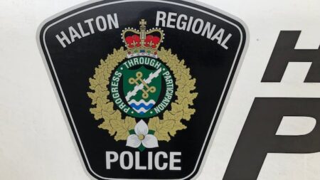 Eight High-End Cars Stolen in Oakville Break-In