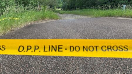 Girl Injured in Possible Animal Attack in Quadeville