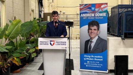  Million Allocated for Stormwater Upgrades in Windsor