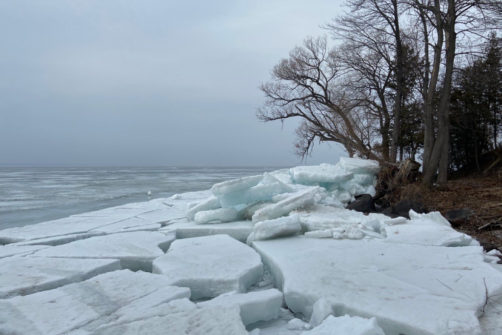 Lake Simcoe Coalition Celebrates a Significant Year