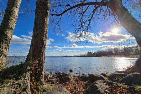 Action Needed for Lake Simcoe in Upcoming Budget