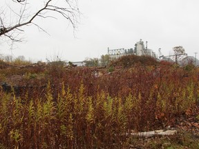Dispute Between Sarnia, Point Edward and Cargill Over Land Use