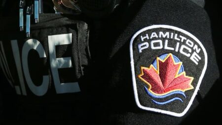 Four Suspects Sought After Theft at Hamilton Grocery Store