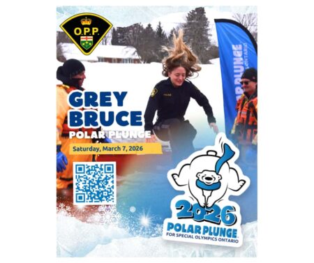 Community Comes Together for Hockey and Polar Plunge