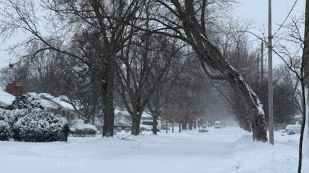 Heavy Snowfall Disrupts Life in London Area