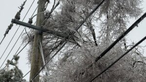 Ice Storm Causes Widespread Power Outages in Southwestern Ontario