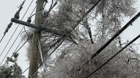 Ice Storm Causes Widespread Power Outages in Southwestern Ontario