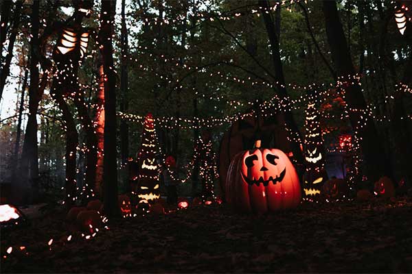 To Do Ontario - Friday Harbour Resort Hallowalk