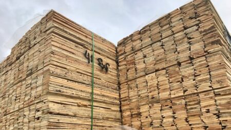 Local Unions and NDP Seek Action Over Sawmill Closures