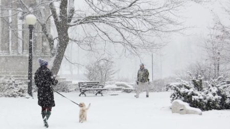 Heavy Snowfall Anticipated for Waterloo and Surrounding Areas
