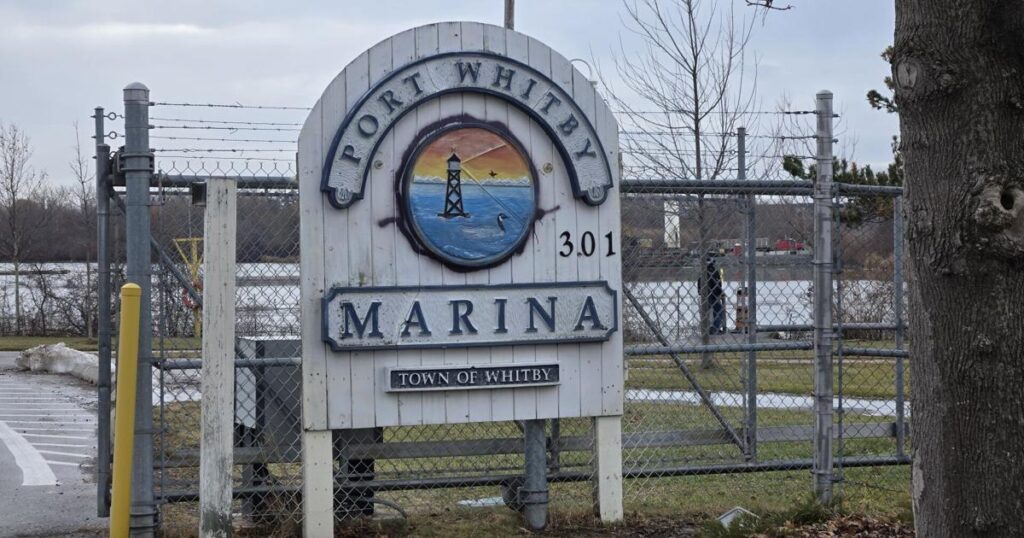 10 Canada Geese Found Dead in Whitby