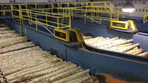 Another Sawmill Closes in Northwestern Ontario