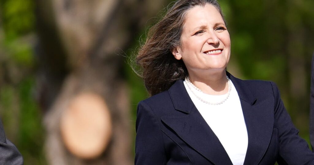 Zelenskyy Brings on Former Canadian Deputy PM as Economic Advisor