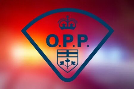 Arrests Made After Domestic Dispute in Peterborough County