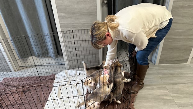 1770063860 726 default