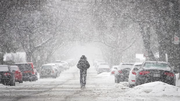 1770150347 707 default