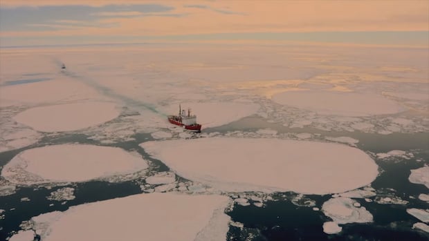 1770321200 222 default