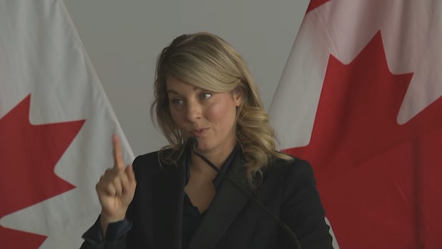 1770408982 445 default