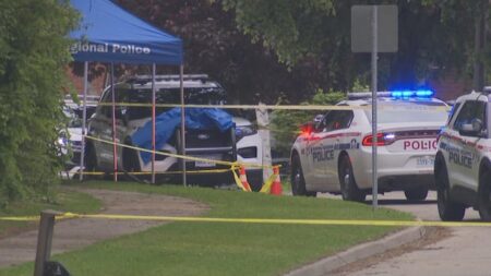 Teenager Arrested for Stabbing Death of Senior Woman