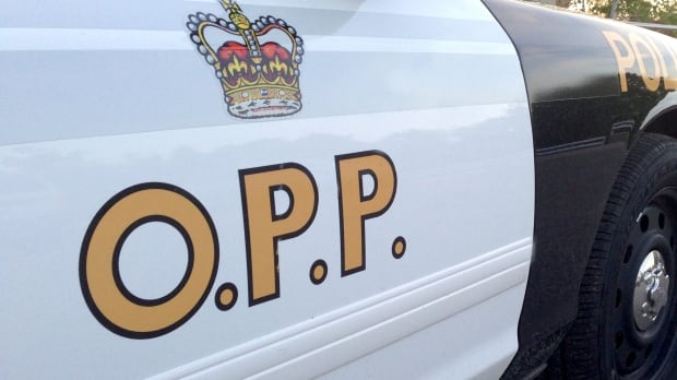 The side of an OPP police car.