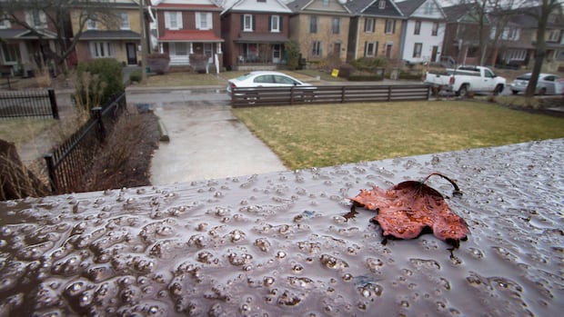 Power Outages in Ontario May Last Until Friday After Ice Storm 1 1771058278 119 default