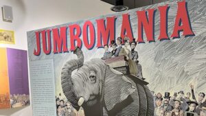Jumbo the Elephant’s Impact Explored in New Exhibit