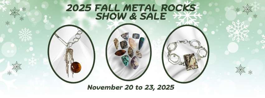 Affordable Activities in Kingston This November 1 1771820498 737 Low cost things to do in the Kingston area November