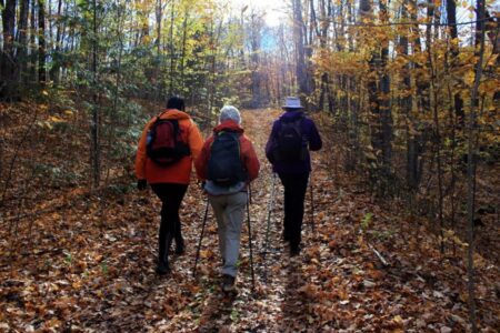 Exciting Events in Ottawa and Surroundings, October 13-19