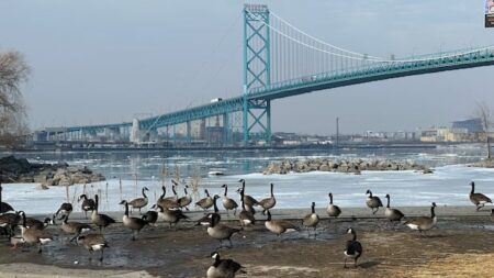 Air Quality Alert for Windsor-Essex Area