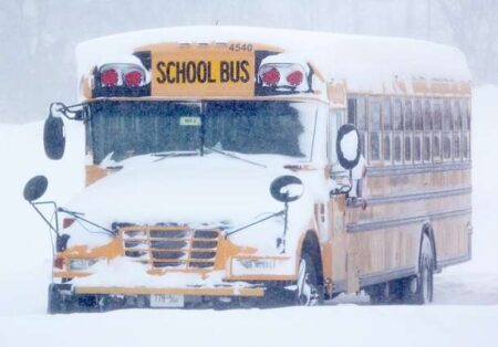 Snow Forces School Bus Cancellations in Sarnia-Lambton