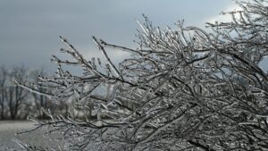 Peterborough Faces Emergency After Ice Storm Strikes