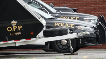 Search Underway for Distressed Caller at Dalewood