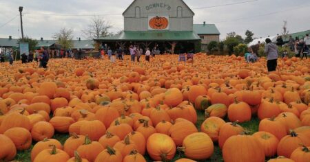 Discover Ontario’s Must-See Fall Fairs and Festivals