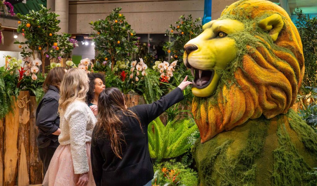 Exciting Winter Wonderland in Burlington, Ontario