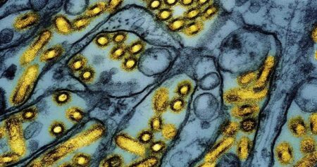 Cybersecurity Update from Lakelands Public Health