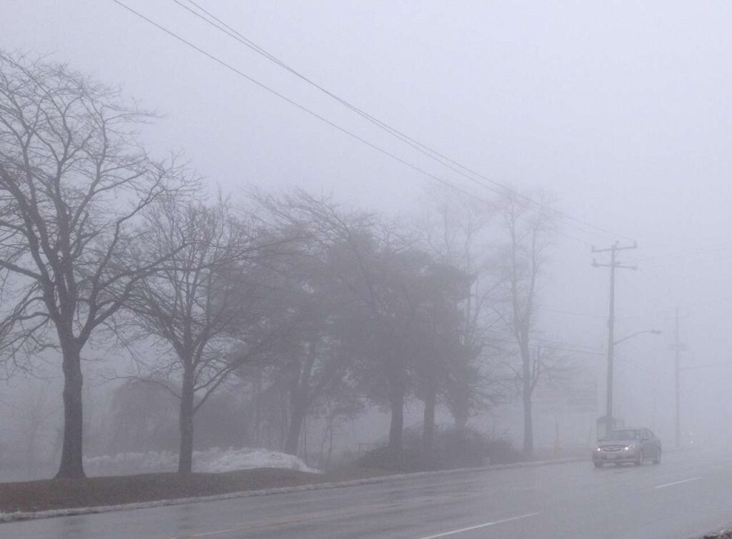 School Buses Delayed Due to Fog