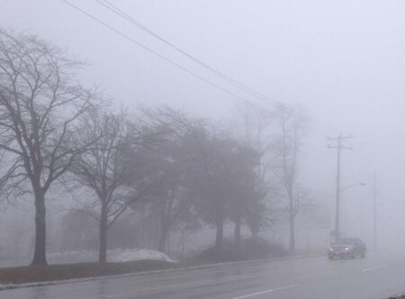 School Buses Delayed Due to Fog